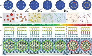 上海应用技术大学等联合团队突破二维半导体材料异质外延技术(图1) 上海应用技术大学等联合团队突破二维半导体材料异质外延技术(图1)