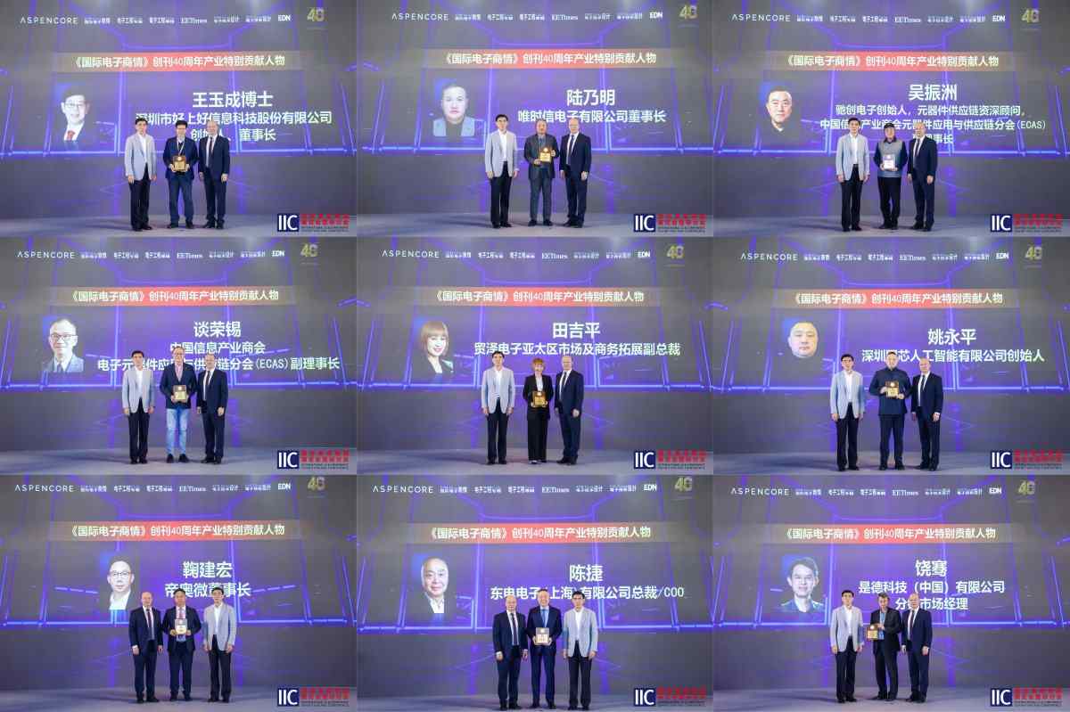 【聚焦产业变革・共筑创新生态】IIC Shanghai 2025盛大启幕 中国IC领袖峰会 | 中国IC设计成就奖颁奖典(图12)