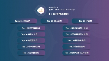 2025 China Fabless100：3+10类TOP10排行榜(图1)