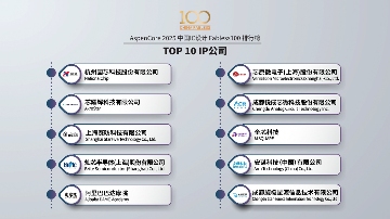 2025 China Fabless100：3+10类TOP10排行榜(图4)