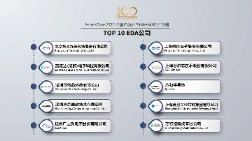 2025 China Fabless100：3+10类TOP10排行榜(图3)