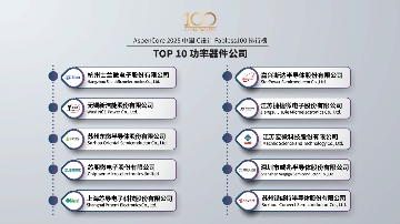2025 China Fabless100：3+10类TOP10排行榜(图9)