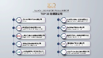 2025 China Fabless100：3+10类TOP10排行榜(图11)