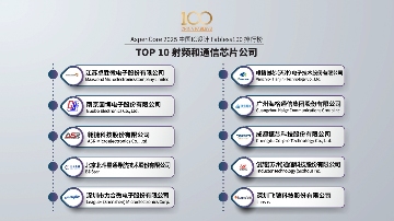 2025 China Fabless100：3+10类TOP10排行榜(图13)