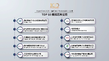 2025 China Fabless100：3+10类TOP10排行榜(图15)