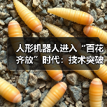 人形机器人进入“百花齐放”时代：技术突破与市场竞速下的机遇与挑战（图4）