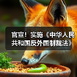 官宣！实施《中华人民共和国反外国制裁法》（图2）