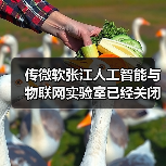 传微软张江人工智能与物联网实验室已经关闭（图4）