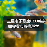 三星电子联席CEO韩宗熙突发心脏病逝世（图4）