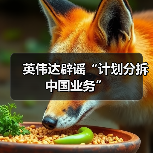 英伟达辟谣“计划分拆中国业务”（图4）