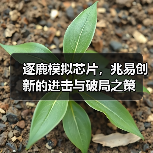 逐鹿模拟芯片，兆易创新的进击与破局之策（图1）