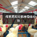 传索尼拟分拆半导体业务（图4）