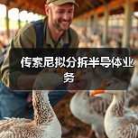 传索尼拟分拆半导体业务（图1）
