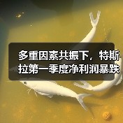 多重因素共振下，特斯拉第一季度净利润暴跌71%！（图4）