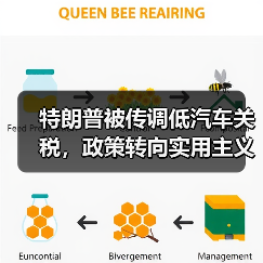 特朗普被传调低汽车关税，政策转向实用主义（图3）