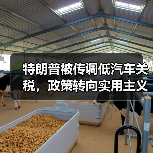 特朗普被传调低汽车关税，政策转向实用主义（图2）