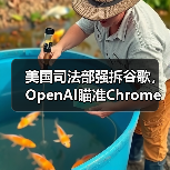 美国司法部强拆谷歌，OpenAI瞄准Chrome收购（图2）