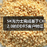 SK海力士完成基于CXL 2.0的DDR5客户验证，引领数据中心存储技术创新（图2）