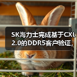 SK海力士完成基于CXL 2.0的DDR5客户验证，引领数据中心存储技术创新（图3）