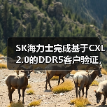 SK海力士完成基于CXL 2.0的DDR5客户验证，引领数据中心存储技术创新（图1）