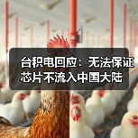 台积电回应：无法保证芯片不流入中国大陆（图1）