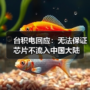 台积电回应：无法保证芯片不流入中国大陆（图4）