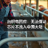 台积电回应：无法保证芯片不流入中国大陆（图2）