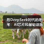 后DeepSeek时代的思考：AI芯片和基础设施都该换了...（图2）