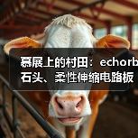 慕展上的村田：echorb石头、柔性伸缩电路板、透明ID标签……（图4）