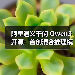 阿里通义千问 Qwen3 开源：首创混合推理模式，登顶全球最强开源模型（图3）