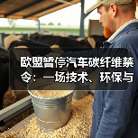 欧盟暂停汽车碳纤维禁令：一场技术、环保与利益的动态博弈（图3）