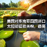 美国对东南亚四国进口太阳能征收关税，最高达 3521%（图4）