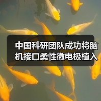 中国科研团队成功将脑机接口柔性微电极植入机器人CyberSense（图3）
