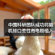 中国科研团队成功将脑机接口柔性微电极植入机器人CyberSense（图1）
