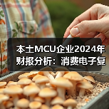 本土MCU企业2024年财报分析：消费电子复苏，车规尚在烧钱（图2）