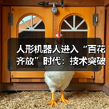 人形机器人进入“百花齐放”时代：技术突破与市场竞速下的机遇与挑战（图3）