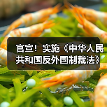 官宣！实施《中华人民共和国反外国制裁法》（图1）