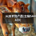 从技术到产品|士模SAR ADC（图1）