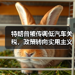 特朗普被传调低汽车关税，政策转向实用主义（图4）