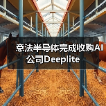 意法半导体完成收购AI公司Deeplite（图4）