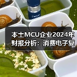 本土MCU企业2024年财报分析：消费电子复苏，车规尚在烧钱（图4）