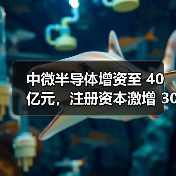 中微半导体增资至 40 亿元，注册资本激增 300%（图3）
