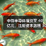 中微半导体增资至 40 亿元，注册资本激增 300%（图2）