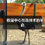 数据中心互连技术的革命（图1）