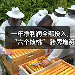 一年净利润全部投入，“六个核桃” 跨界增资长江存储母公司（图1）