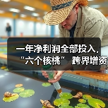 一年净利润全部投入，“六个核桃” 跨界增资长江存储母公司（图2）