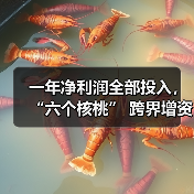一年净利润全部投入，“六个核桃” 跨界增资长江存储母公司（图4）