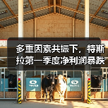 多重因素共振下，特斯拉第一季度净利润暴跌71%！（图2）