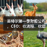 英特尔第一季财报公布，CEO：砍流程、砍层级、押技术（图3）