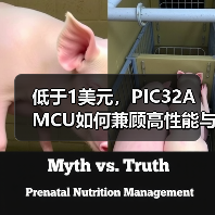 低于1美元，PIC32A MCU如何兼顾高性能与低成本？（图3）